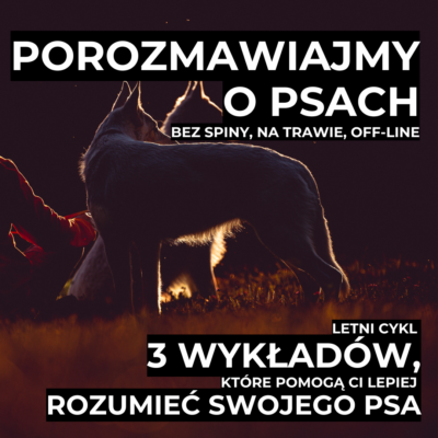 Letni cykl 3 wykładów, które pomogą Ci lepiej rozumieć swojego psa