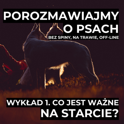 Wykład 1. Co jest ważne na starcie?