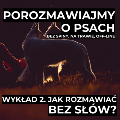 Wykład 2. Jak rozmawiać bez słów?