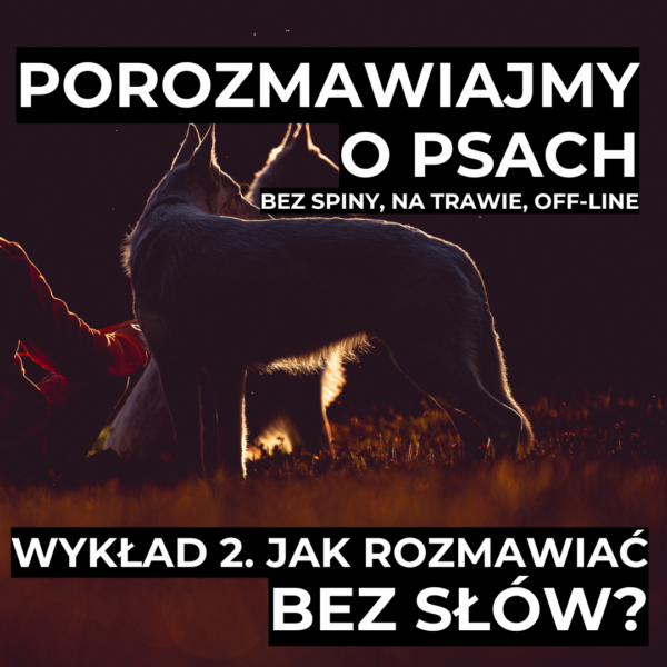 Wykład 2. Jak rozmawiać bez słów?