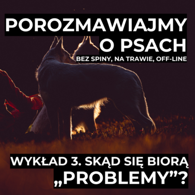 Wykład 3. Skąd się biorą „problemy”?