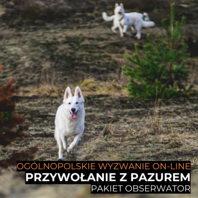 Wyzwanie Przywołanie z pazurem - PAKIET OBSERWATOR