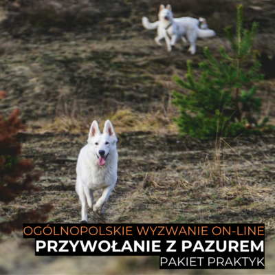 Wyzwanie Przywołanie z pazurem - PAKIET PRAKTYK
